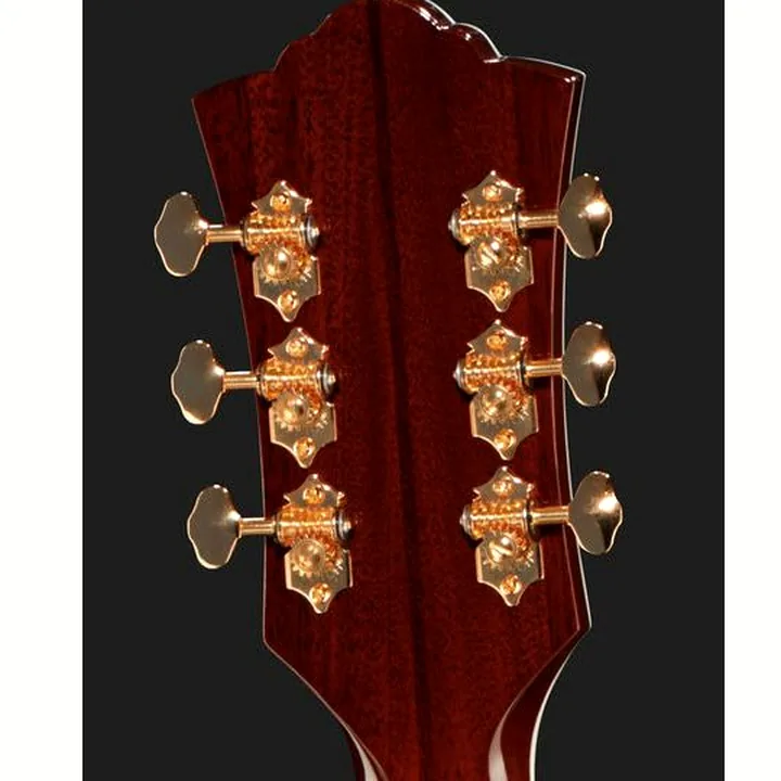 La guitare acoustique Guild D55 NA USA : Test, Avis, Comparatif