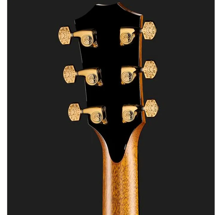 La guitare acoustique Taylor PS14ce & Circa 74 Amp 50th Comparatif, Test, Avis