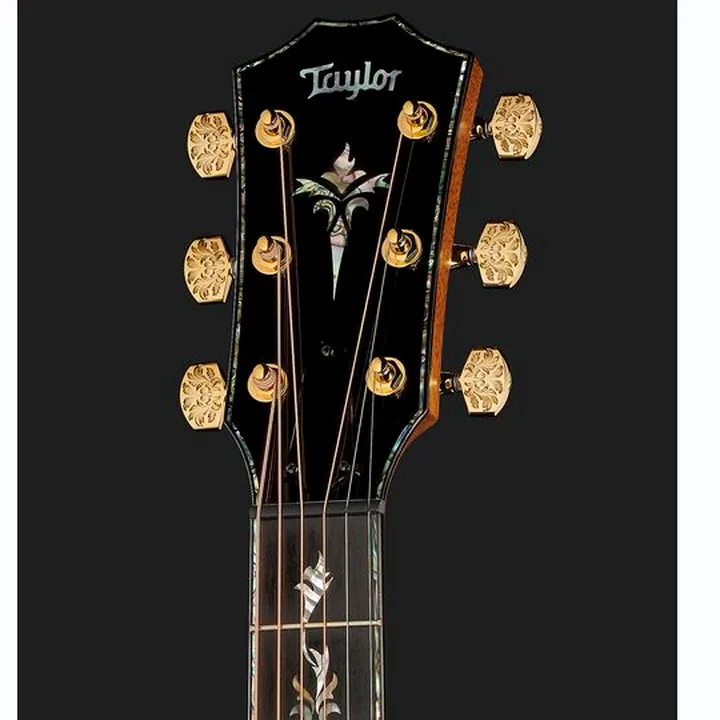 La guitare acoustique Taylor PS14ce & Circa 74 Amp 50th Comparatif, Test, Avis