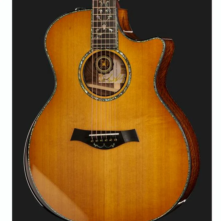 La guitare acoustique Taylor PS14ce & Circa 74 Amp 50th Comparatif, Test, Avis