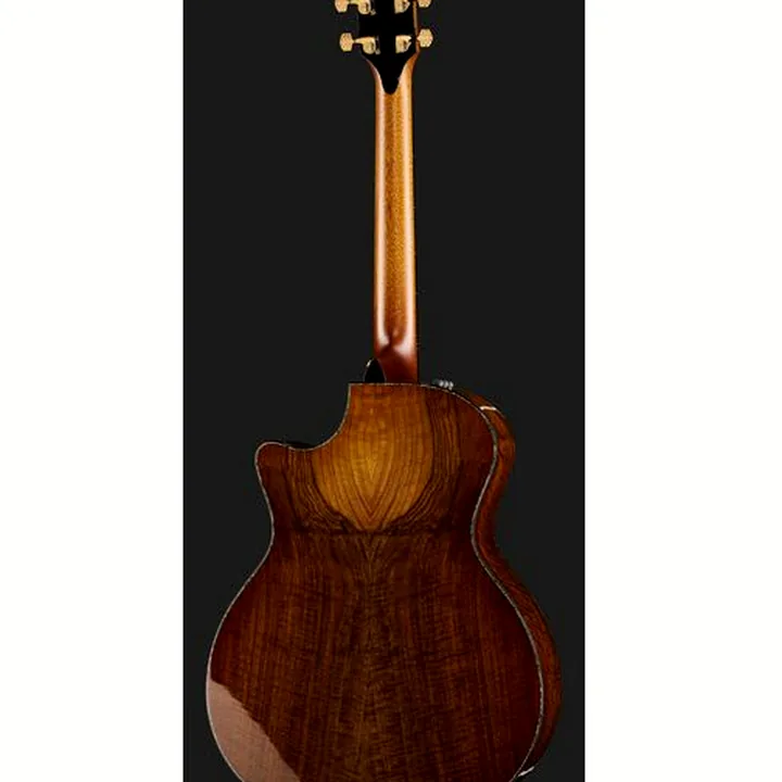 La guitare acoustique Taylor PS14ce & Circa 74 Amp 50th Comparatif, Test, Avis