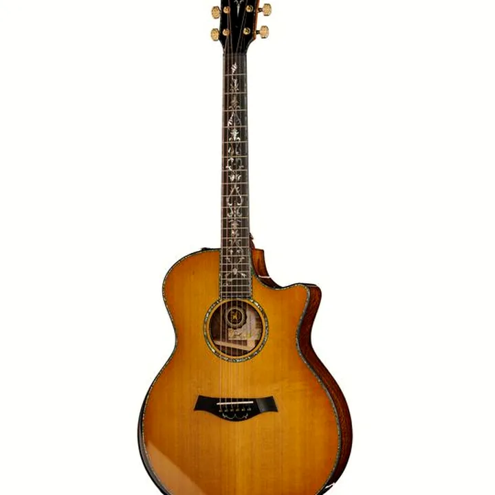 La guitare acoustique Taylor PS14ce & Circa 74 Amp 50th Comparatif, Test, Avis