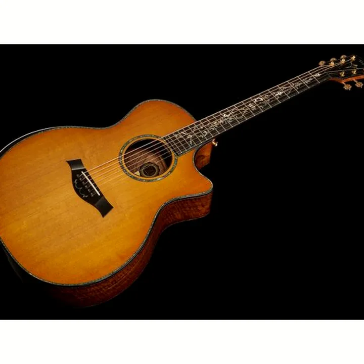La guitare acoustique Taylor PS14ce & Circa 74 Amp 50th Comparatif, Test, Avis