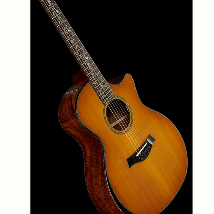 La guitare acoustique Taylor PS14ce & Circa 74 Amp 50th Comparatif, Test, Avis