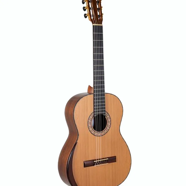 Guitare Classique Manuel Rodriguez Magistral E-C |