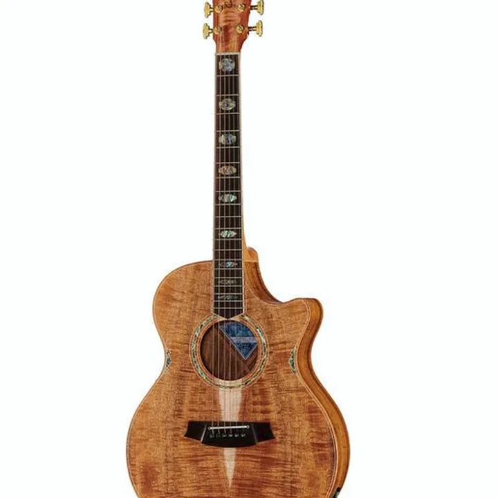 Guitare Cole Clark CCAN3EC-BLBL Natural