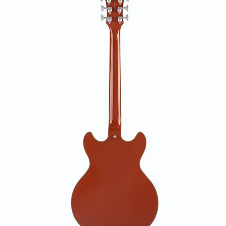 La guitare électrique DAngelico Deluxe Mini DC LE Rust : Avis, Comparatif et Test