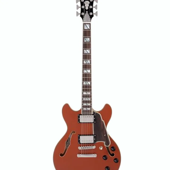 Guitare électrique DAngelico Deluxe Mini DC LE Rust