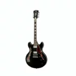 La guitare électrique DAngelico Premier DC Black Flake Test, Comparatif, Avis