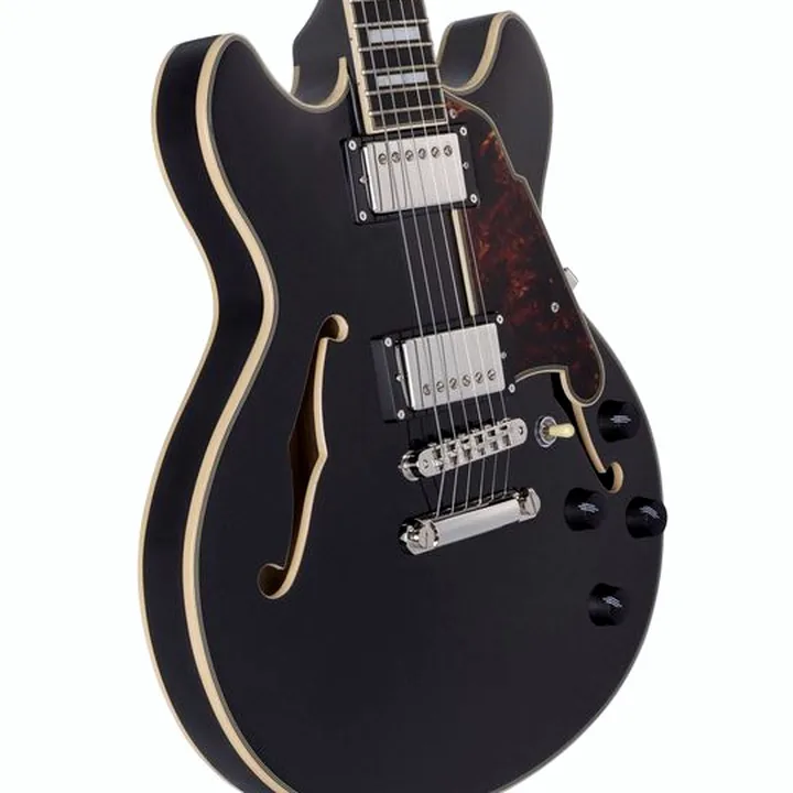 La guitare électrique DAngelico Premier Mini DC Black Flake Test, Avis