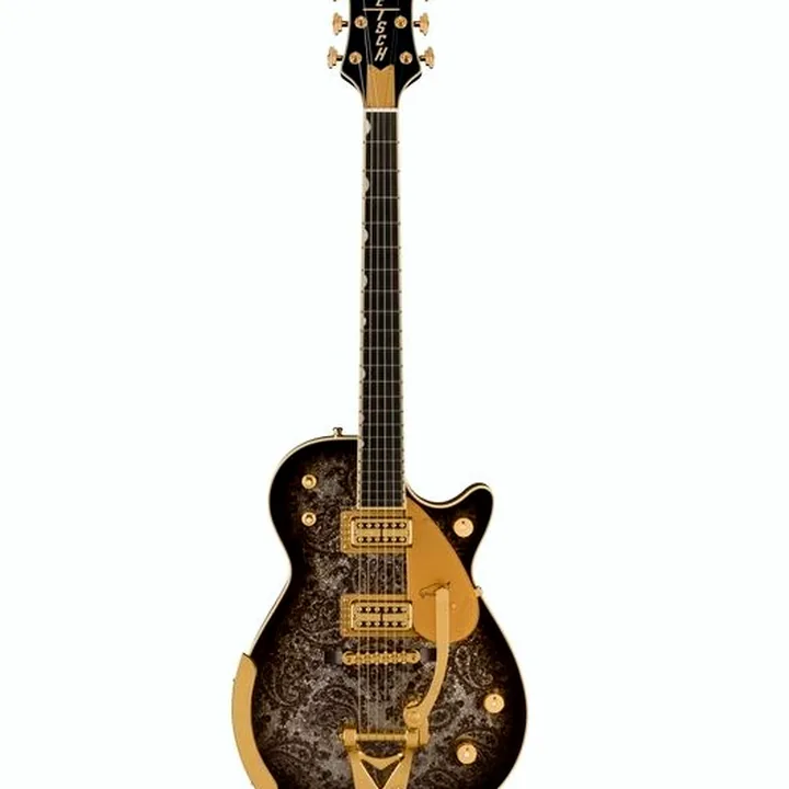 Guitare électrique Gretsch G6134TG LTD Paisley Penguin