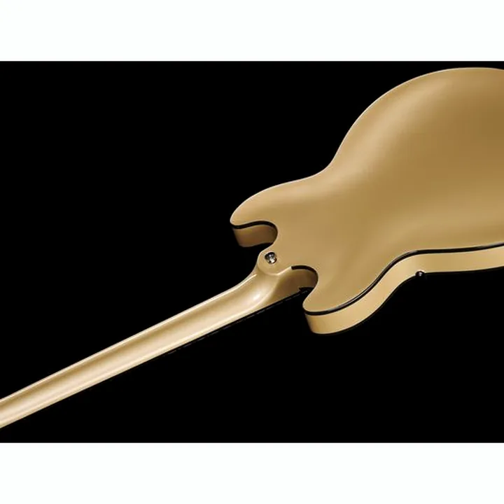 La guitare électrique Harley Benton HB-35Plus Shoreline Gold Comparatif, Avis & Test