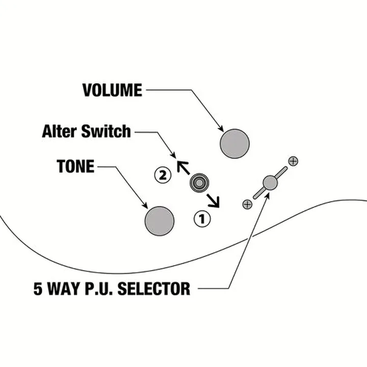 La guitare électrique Ibanez SML721-MAM Avis & Test
