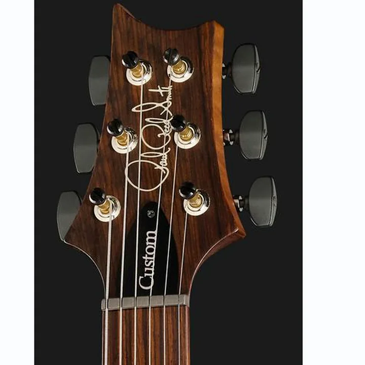 La guitare électrique PRS Custom 24 Wood Library TCB / Avis & Test
