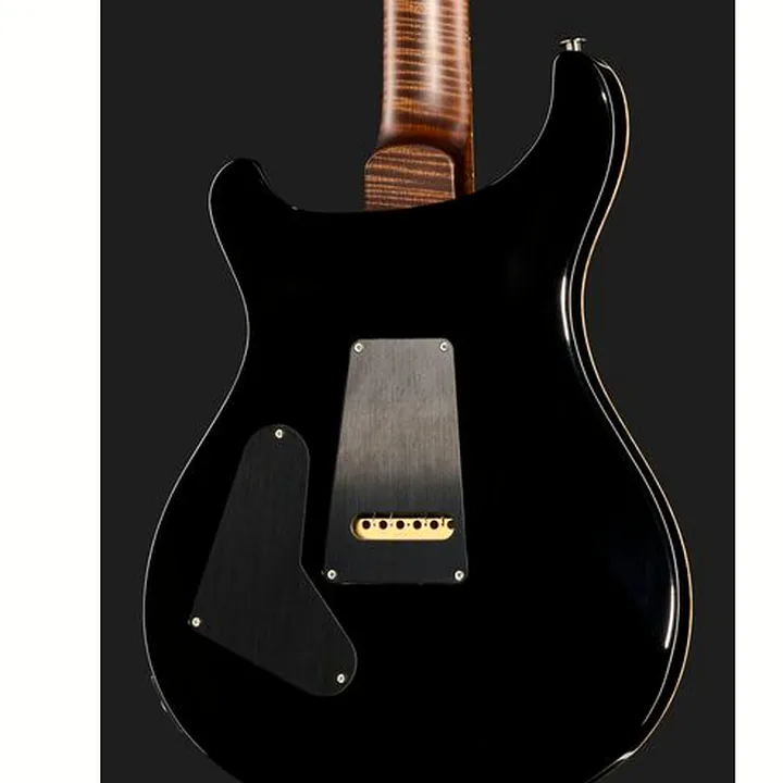 La guitare électrique PRS Custom 24 Wood Library TCB / Avis & Test