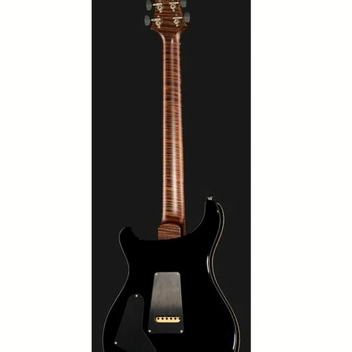 La guitare électrique PRS Custom 24 Wood Library TCB / Avis & Test