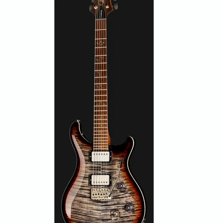 La guitare électrique PRS Custom 24 Wood Library TCB / Avis & Test