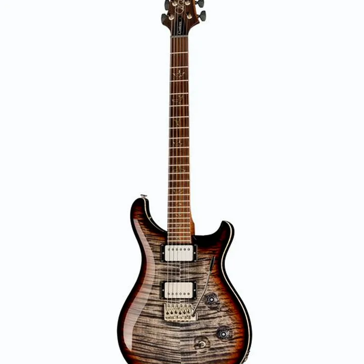 Guitare électrique PRS Custom 24 Wood Library TCB