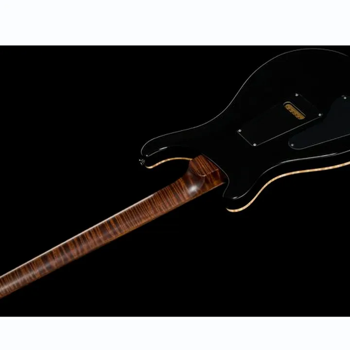 La guitare électrique PRS Custom 24 Wood Library TCB / Avis & Test