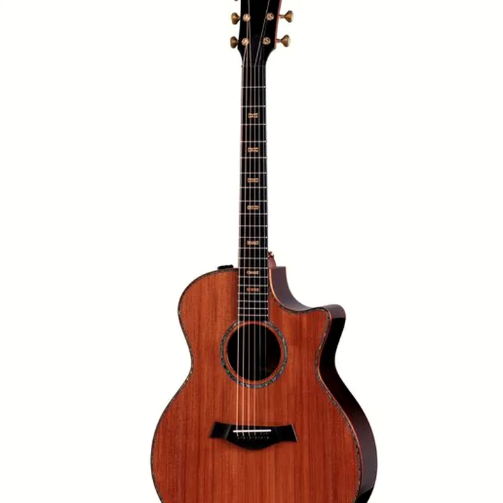 La guitare folk Taylor Custom #7: Horizons : Comparatif, Test & Avis