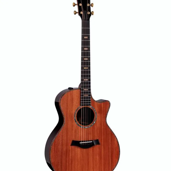 La guitare folk Taylor Custom #7: Horizons : Comparatif, Test & Avis