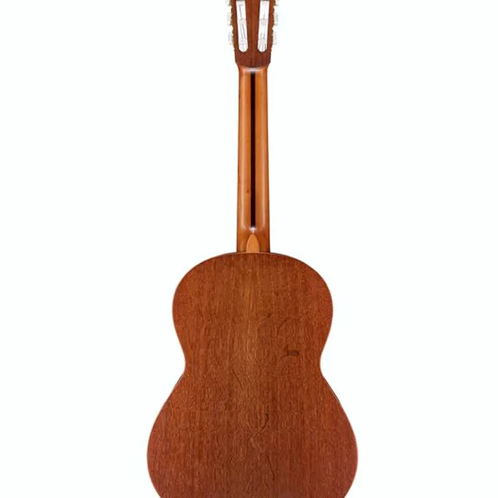 La guitare Hanika 50TEF Test, Avis, Comparatif