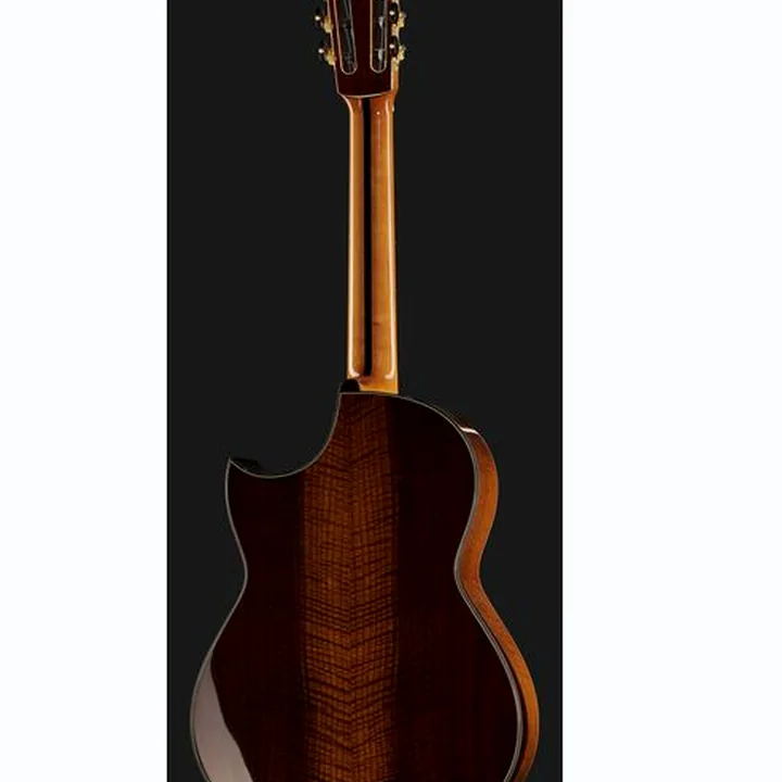 La guitare Hanika Crossover PSS Avis, Test et Comparatif