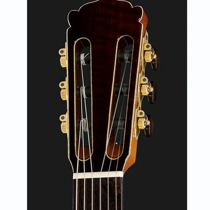 La guitare Hanika Crossover PSS Avis, Test et Comparatif
