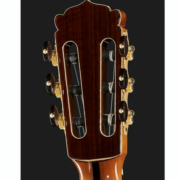 La guitare Hanika Crossover PSS Avis, Test et Comparatif