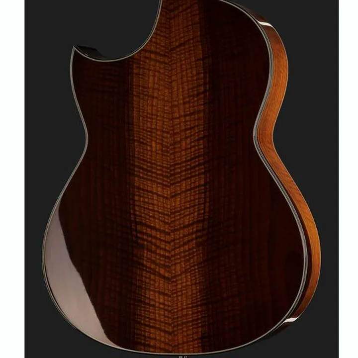La guitare Hanika Crossover PSS Avis, Test et Comparatif