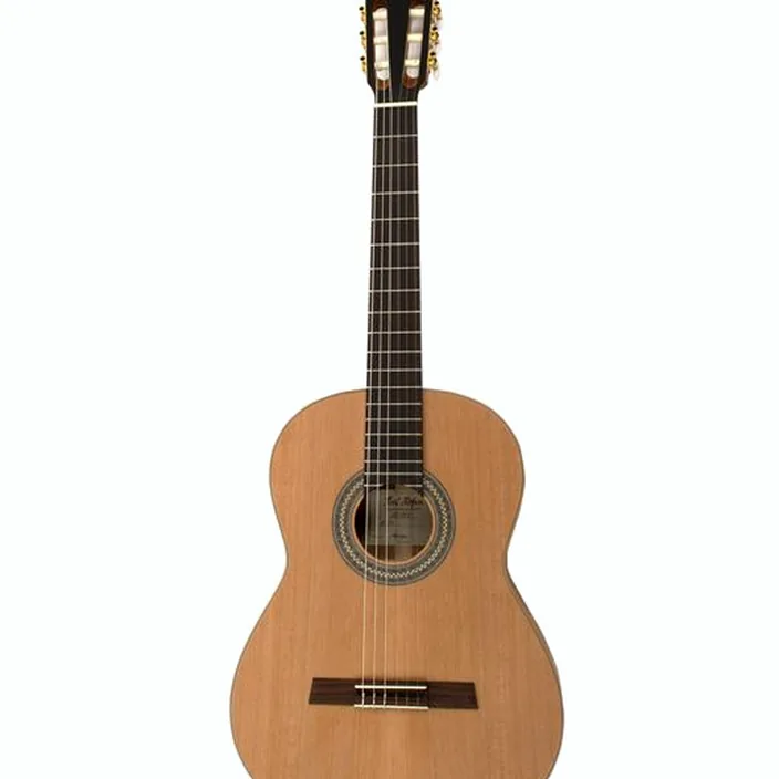 Guitare Höfner HML-FLZ