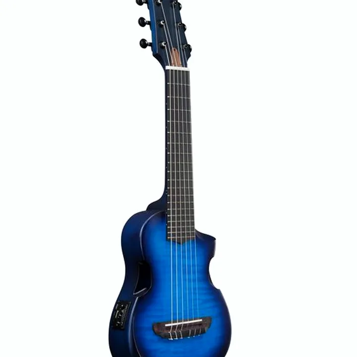 La guitare Ibanez AUP10FMNE-TBO / Test, Avis, Comparatif