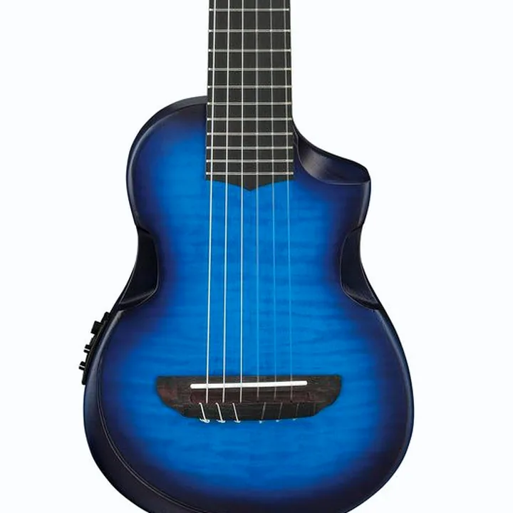 La guitare Ibanez AUP10FMNE-TBO / Test, Avis, Comparatif