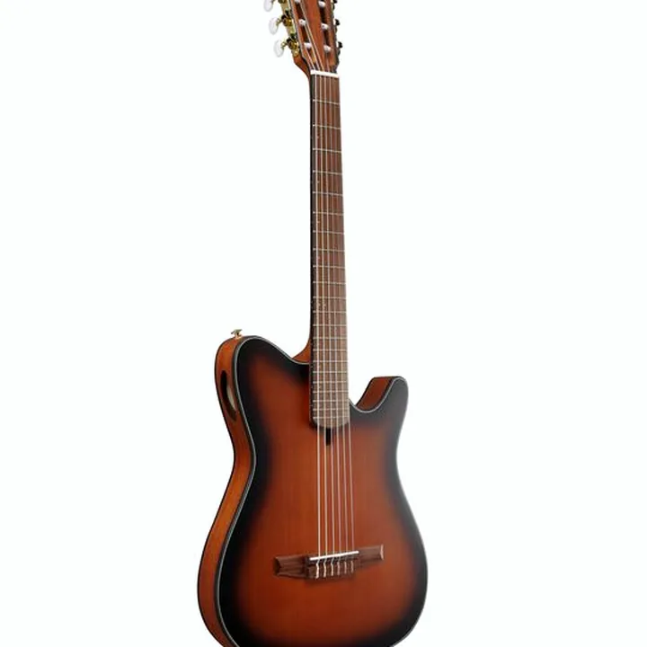 La guitare Ibanez FRH10N-BSF – Test, Avis et Comparatif