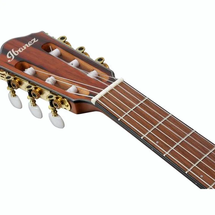 La guitare Ibanez FRH10N-BSF – Test, Avis et Comparatif