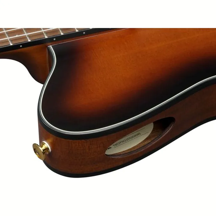 La guitare Ibanez FRH10N-BSF – Test, Avis et Comparatif
