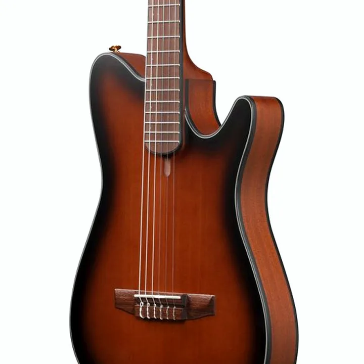 La guitare Ibanez FRH10N-BSF – Test, Avis et Comparatif