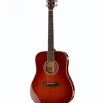 La guitare Lakewood Gregor Meyle Signature – Test, Avis, Comparatif