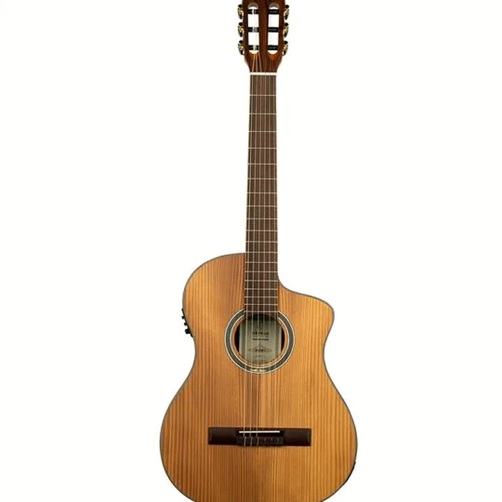 La guitare Ortega RCE23RO Thermo Series Test, Avis et Comparatif