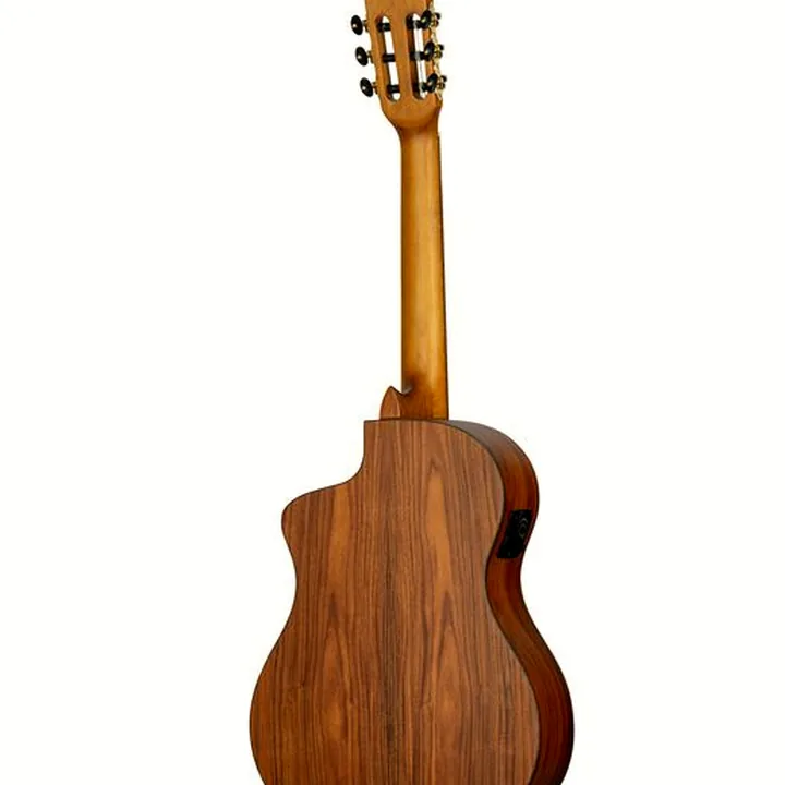 La guitare Ortega RCE23RO Thermo Series Test, Avis et Comparatif