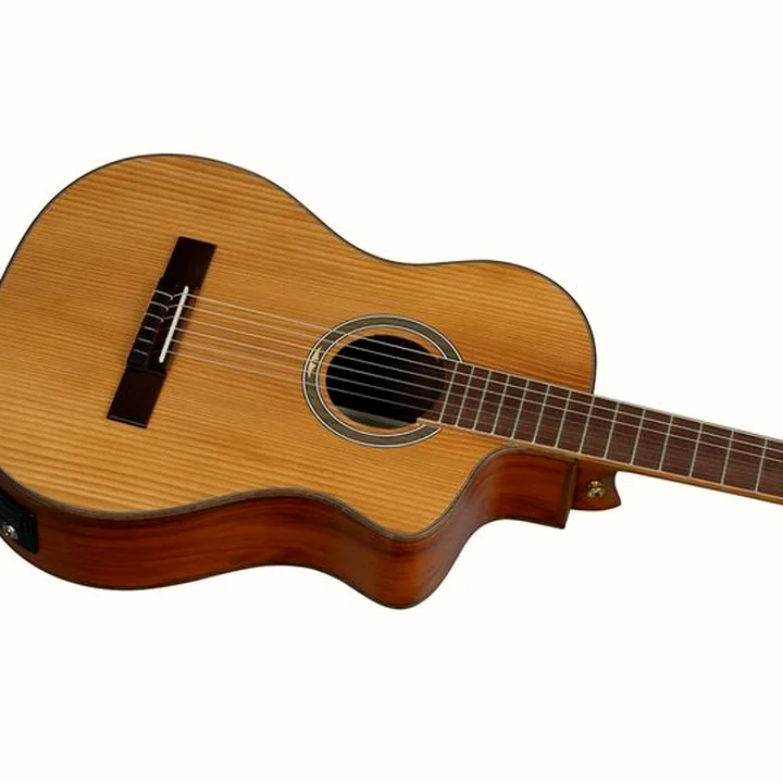La guitare Ortega RCE23RO Thermo Series Test, Avis et Comparatif