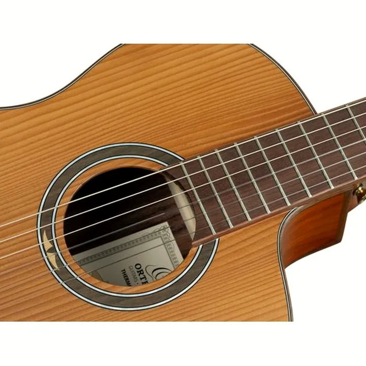La guitare Ortega RCE23RO Thermo Series Test, Avis et Comparatif