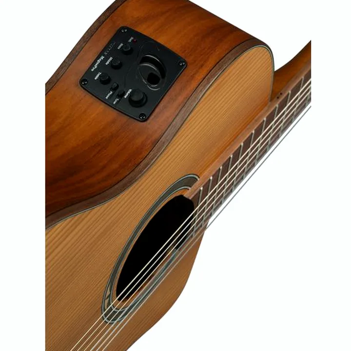 La guitare Ortega RCE23RO Thermo Series Test, Avis et Comparatif