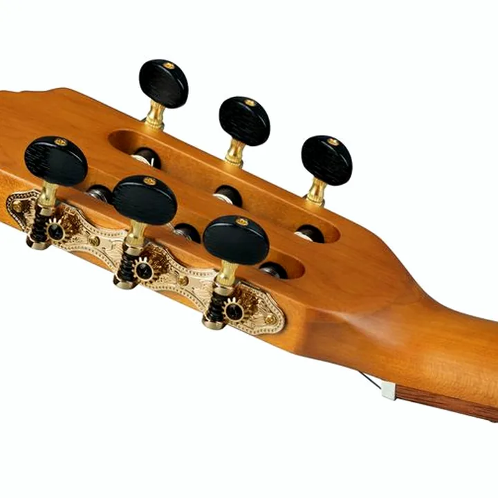 La guitare Ortega RCE23RO Thermo Series Test, Avis et Comparatif