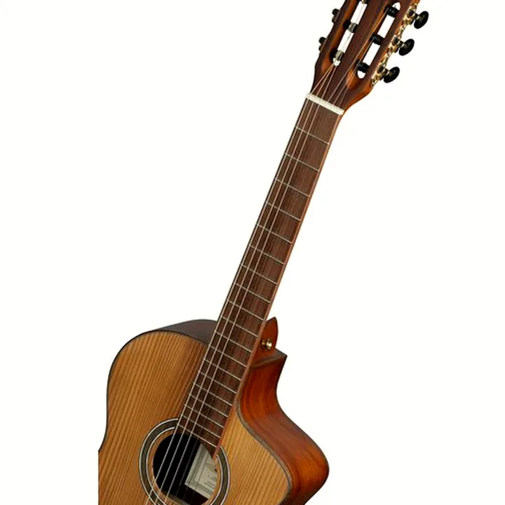 La guitare Ortega RCE23RO Thermo Series Test, Avis et Comparatif