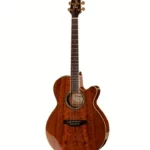 La guitare Takamine EF508KC w/Softcase Test, Avis & Comparatif