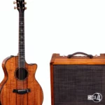 La guitare Taylor 924ce-KLTD 50th/w Circa 74 Amp : Avis & Test
