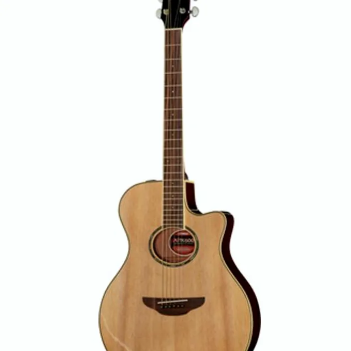 Guitare Yamaha APX 600 Natural
