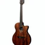 Avis, Test : LAG Sauvage Auditorium Nylon CE