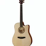 Lakewood D-18 CP Comparatif, Avis et Test